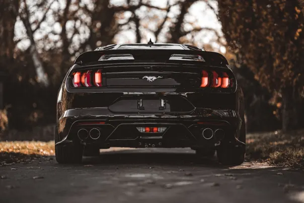 Casino Posh Bingo Application Android/iOS